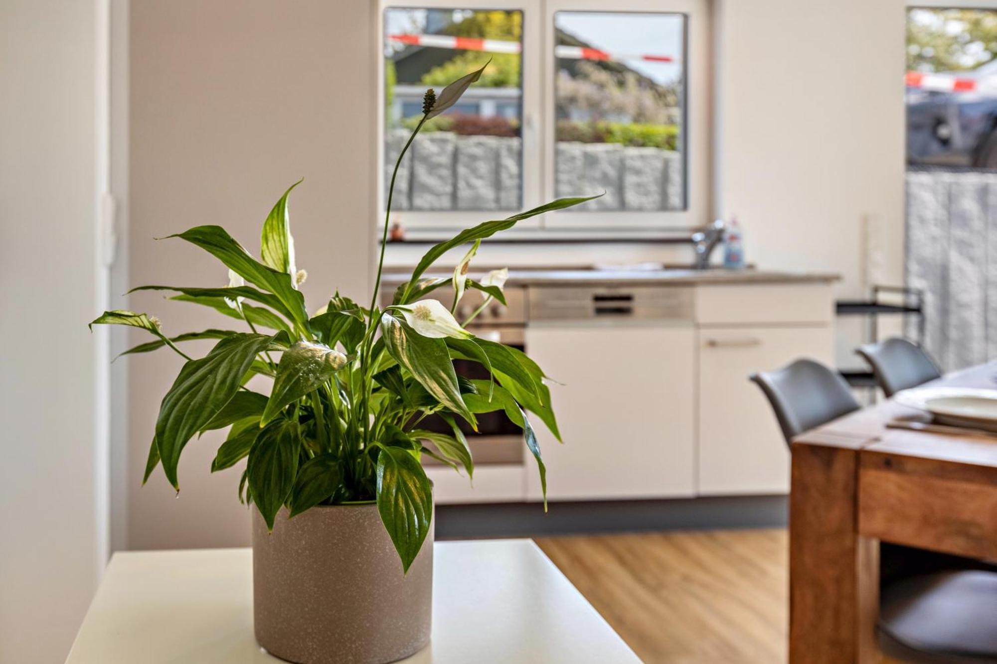 Stegmann Horn Apartment Gaienhofen (Baden-Wurttemberg)
